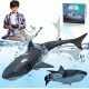 Remote Control Shark Toy Price in Pakistan